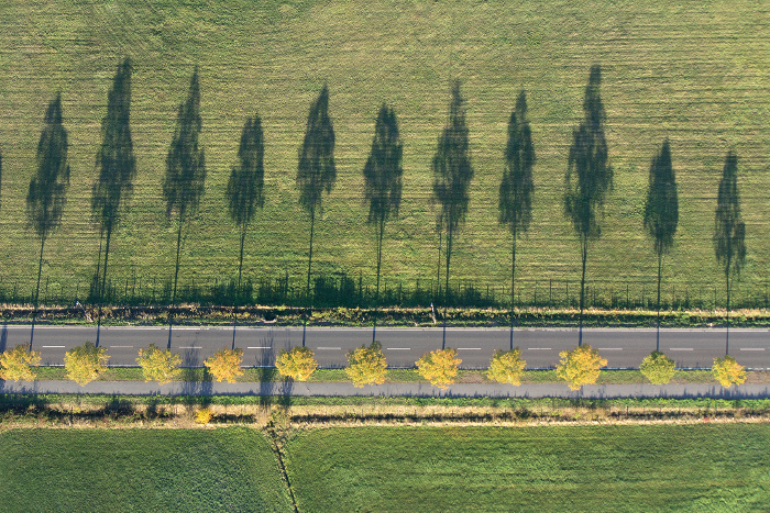 Straße, Bäume, Schatten, 2018 ©Ernst Wawra