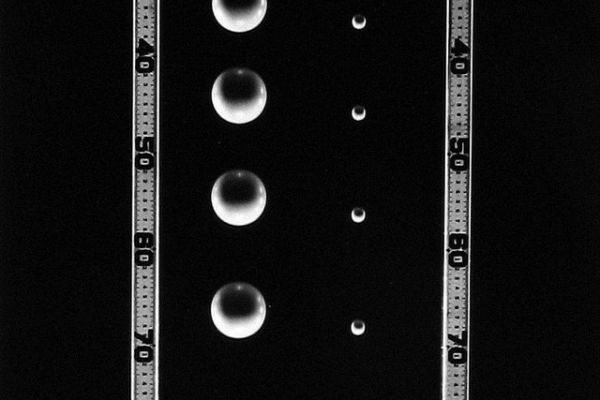 Falling Balls of Unequal Mass, 1958-61, © Berenice Abbott/Commerce Graphics/Getty Images. Courtesy of Howard Greenberg Gallery, New York